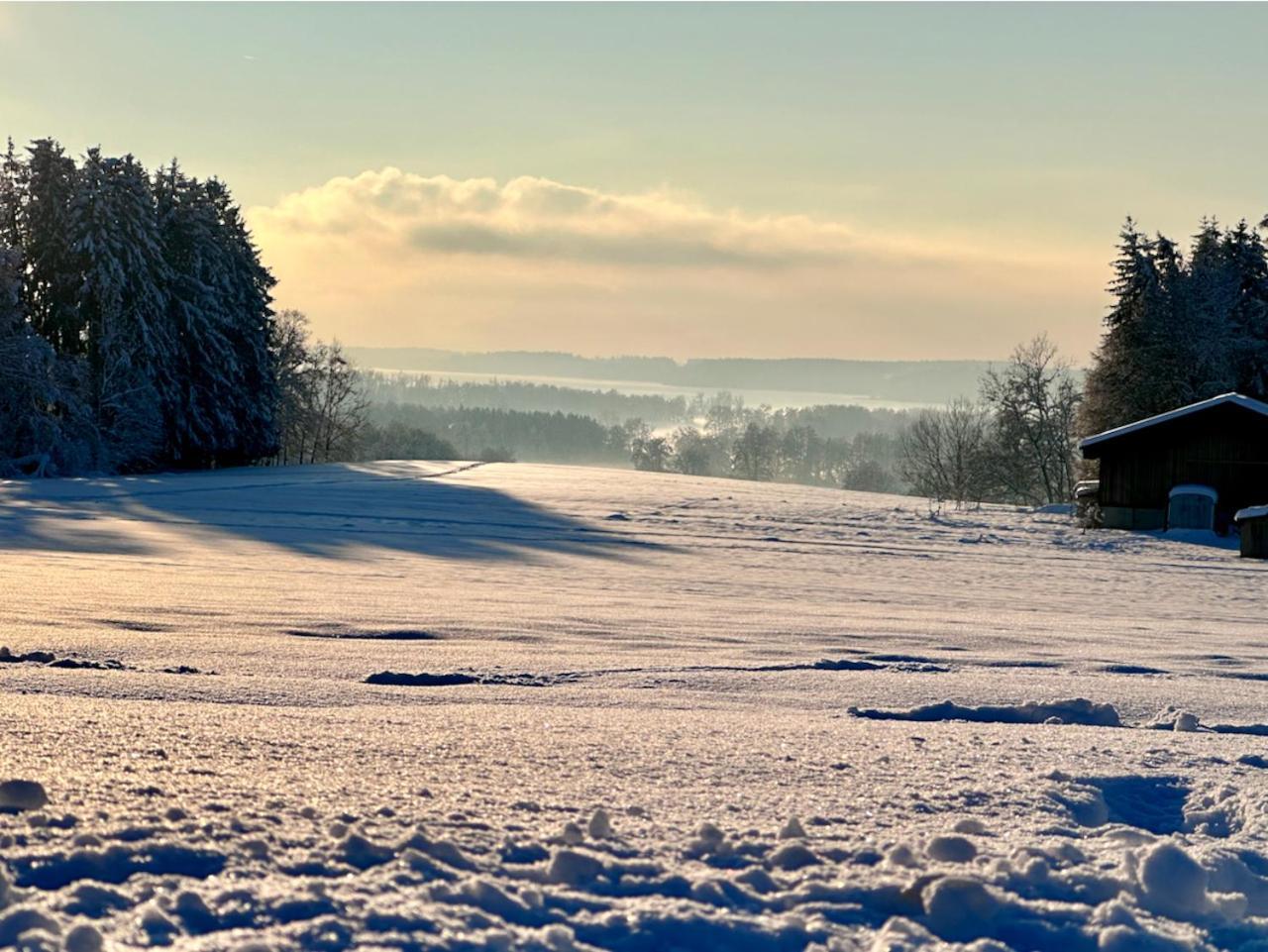 Birkenhof